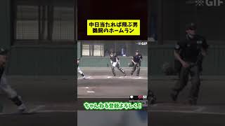 中日、当たれば飛ぶ男の鵜飼のホームラン【なんJ反応集】#shorts #プロ野球