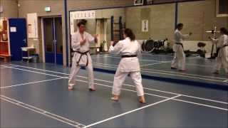 Pinan Shodan Shito-ryu \u0026 Bunkai kumite