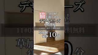 11#03【猫ちゃんと暮らせるデザイナーズのお部屋♪】#埼玉 #shorts #お部屋探し #賃貸 #仲介手数料無料 #草加 #猫のいる暮らし #ペット #1ldk #防犯 #ロフト #デザイナーズ