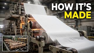 The Insane Scale of Tissue Paper Production