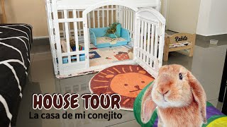 CONEJOS - House Tour, conoce el espacio de mi conejito. Casita, juguetes, accesorios y espacios.