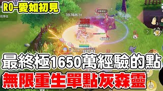 【RO-愛如初見】單點灰森靈無限重生《騎士單練1650萬經驗》這是目前我練最快的點跟大家分享啦！【各位騎士練功加油！！】