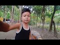 আমাৰ হাঁহ বোৰ ৩ মাহত কিমান ডাঙৰ হ ল assamese vlog