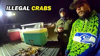 Every Crab They Kept Was Illegal - Washington State