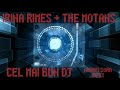 Cel Mai Bun DJ - Irina Rimes ft. The Motans (Andrei Sora remix)