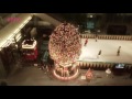 オフィス街がサーカス会場に変身！／丸の内エリア『marunouchi bright chrismas 2015～丸の内にchristmas circusがやってくる～』