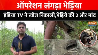 Wolf Terror In UP | Operation Langda Bhediya | India Tv ने खोज निकाली भेड़िये की दो नई मांद