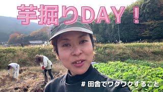 【さつまいもは好きですか？】絶好の芋掘りDAYでしたよ！