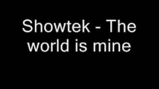 showtek  -  the world is mine