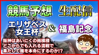 【競馬予想】エリザベス女王杯＆福島記念【雑談】