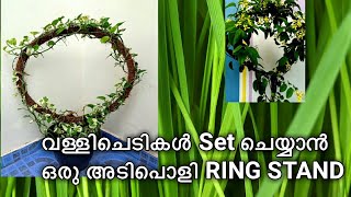 RING STAND for Creeper വള്ളി ചെടികൾ Set ചെയ്യാൻ RING STAND ||Garden Ideas | Garden Technique || DIY