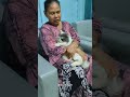 Ga usah ngaku2 jadi cucu kandung mbah kakung 😒😼 #shortvideo #cat #kucinglucu