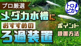 Filtration equipment for killifish(Medaka)