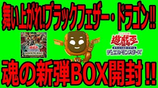 遊戯王新弾、ダークウィングブラストを6BOX開けた結果…あのドラゴンが羽ばたいた！！【BOX開封】