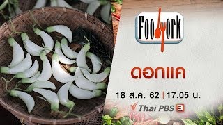 ดอกแค : Foodwork [CC] (18 ส.ค. 62)