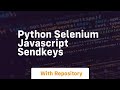python selenium javascript sendkeys