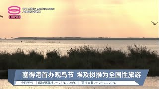 塞得港首办观鸟节  埃及拟推为全国性旅游【2022.12.27 八度空间午间新闻】