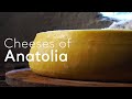 Cheeses of Anatolia  | Go Türkiye