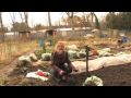 winter work on the allotment with alys fowler