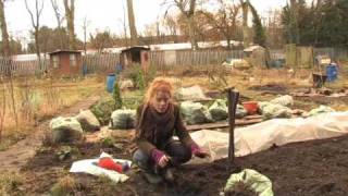 Winter work on the allotment with Alys Fowler