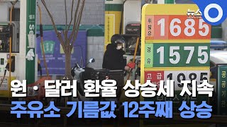 원·달러 환율 상승세 지속 .. 주유소 기름값 12주째 상승