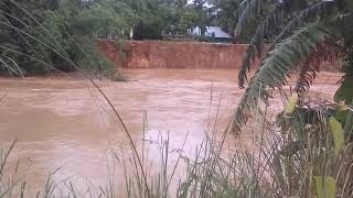 শেরপুর জেলার নালিতাবাড়ী থানার চেল্লাখালি নদীর পাড় ভেঙে পড়ছে