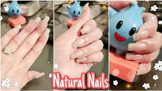 🇺🇸  VLog : How I Grow My Natural Nails Long Again