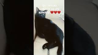 Вы только гляньте на эту красоту ❤️❤️❤️