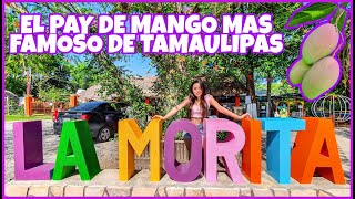 LA MORITA Y SU DELICIOSO PAY DE MANGO