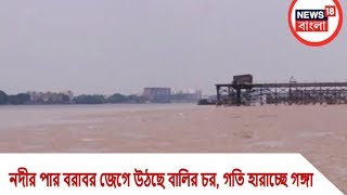 হারিয়ে গেছে গাঙ্গেয় শুশুক,গঙ্গা দূষণে বিপন্ন ১৪০ প্রজাতির মাছ