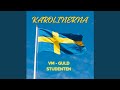 VM - GULD