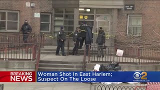 Woman shot by neighbor inside Harlem apartment building