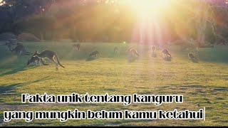 7 Fakta Kanguru Yang Mungkin Jarang Kamu Ketahui! #youtubepemula #animals #1million #kanguru