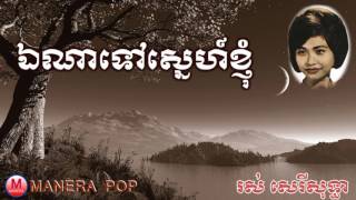 ឯណាទៅស្នេហ៍ខ្ញុំ​ /អ្នកណាមួយដែលខ្ញុំស្រលាញ់ - ena tov sne kgnom (Ros serey sothea – រស់សេរីសុទ្ធា)