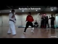 taekwondo vs kyokushin