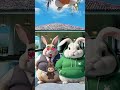 kelinci saling ambil boneka labubu kelinci kelincilucu rabbit funny shorts shortvideo