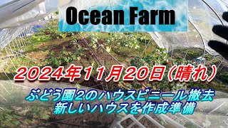 ぶどう園２のハウスビニール取ってハウスをもう一つ作ろう