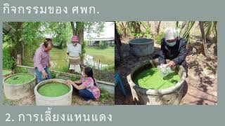 โครงการศูนย์เรียนรู้การเพิ่มประสิทธิภาพการผลิตสินค้าเกษตร (ศพก.)อำเภอเหล่าเสือโก้ก