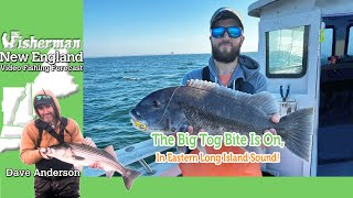 November 7th 2024 New England Video Fishing Forecast with Dave Anderson