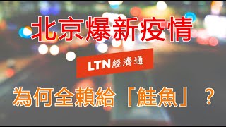 LTN經濟通》北京爆新疫情 為何全賴給「鮭魚」？