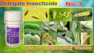 Delegate insecticide | spinetoram 11.7 sc | অসাধারণ কীটনাশক IIworld best Thripicide II Corteva agro