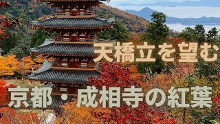 おすすめの紅葉「京都・天橋立を望む成相寺」