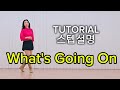 What's Going On Line Dance | High Improver | TUTORIAL 스텝설명