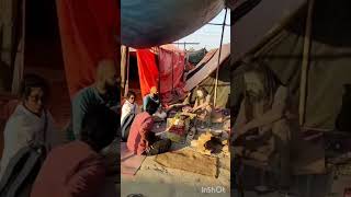 MahaKumbhmela sangam2025#nagasadhus#aghora#yts#prayagraj#kumbhmela#trivenisangam #bhojpuri#vlog#siva