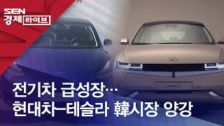 전기차 급성장…현대차-테슬라 韓시장 양강