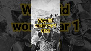 WHY DID THE FIRST WORLD WAR ACTUALLY START?  #history #worldwar1 #hungarian #historyfacts