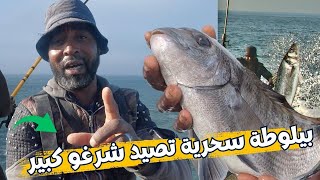 بيلوطة سحرية .سر رايس تجو. وصفة سحرية بلازيت ولارملا.صيد كل أنواع سمك في بحر سلا 🎣