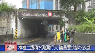 1131220觀天下新聞 樟樹二路積水濺濕行人 議員要求排水改善