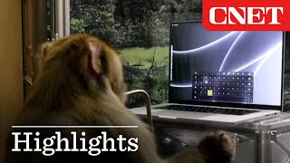 Elon Musk Shows Latest Neuralink Demo of Monkey Typing with its Mind