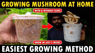 How to grow Mushroom at Home | Mushroom Farming at Home | Easy Mushroom Cultivation / Growing Method